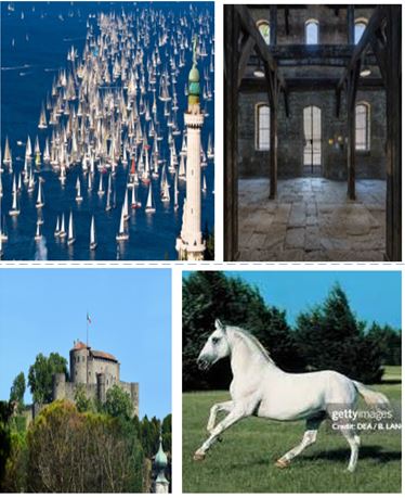 TRIESTE/GORIZIA/SCUDERIE LIPIZZA/STANJEL