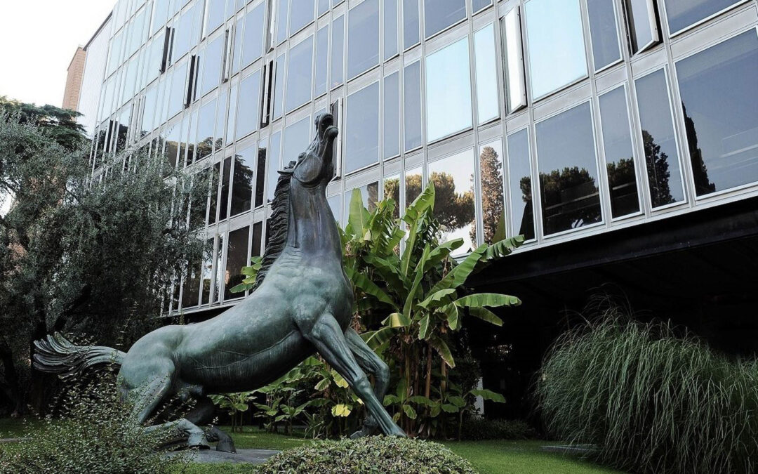 Roberto Pacchetti, 127 nuovi giornalisti in arrivo alla TGR